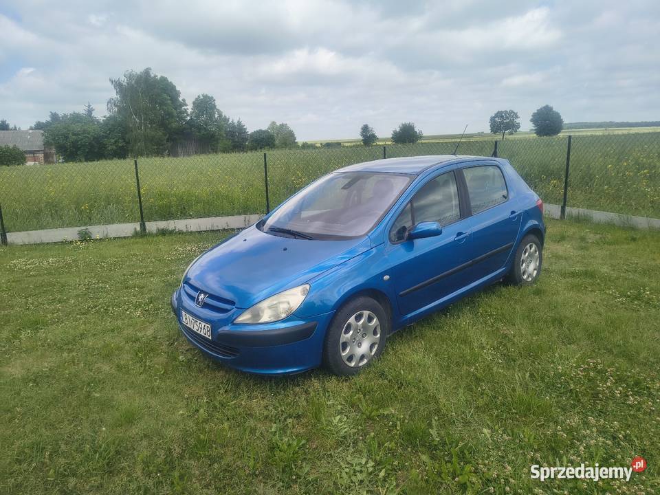 Peugeot 307 Rudnik Drugi