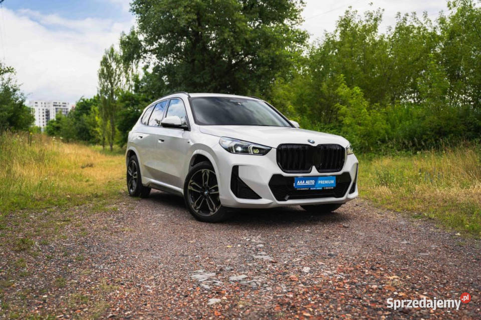BMW X1 sDrive18i gniazdo USB Katowice