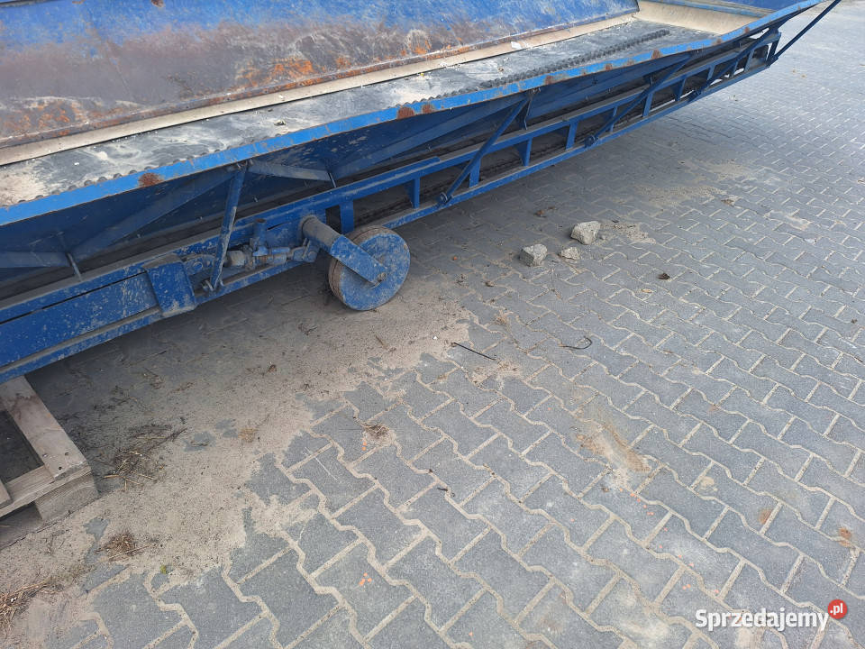 Wywrotnica do ziemniaków 6m nowe taśmy wielkopolskie Ruszkowo