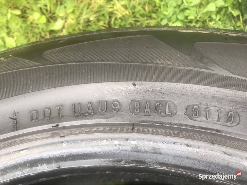 Opony Nexen NFera RU1 22555R19 99H 4 Ząbkowice Śląskie sprzedam