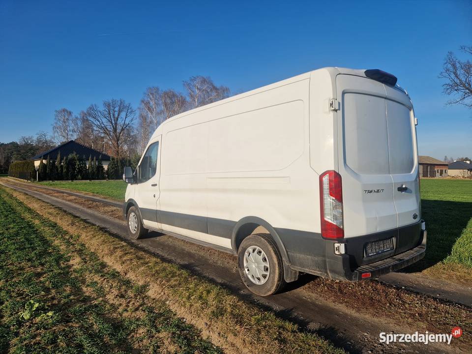 Ford Transit nieuszkodzony Samochody dostawcze