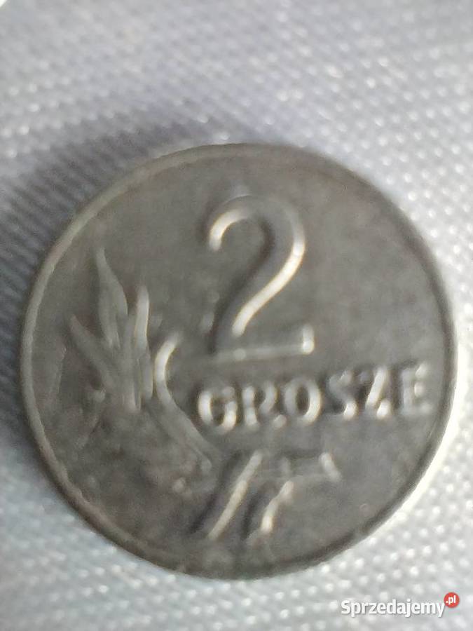 Moneta 2gr1949 Numizmatyka Skoczów