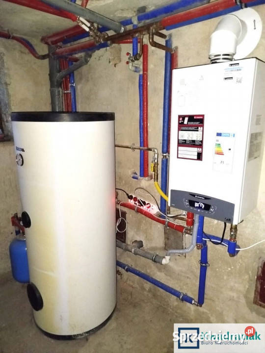 Dom wolnostojący Sanoczek 12253m2