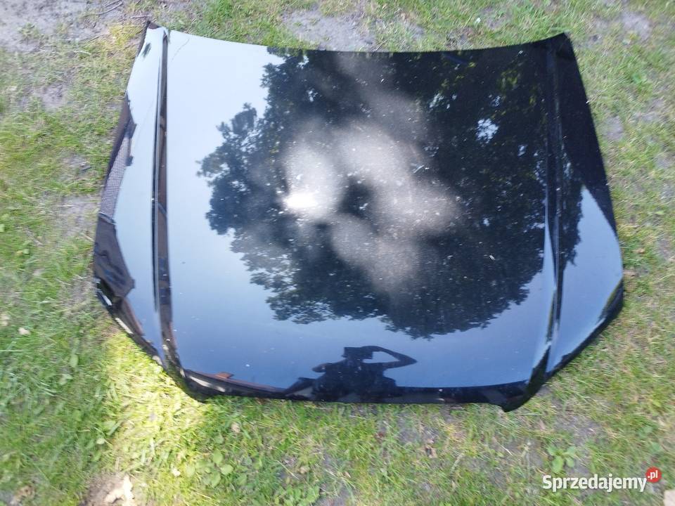 Audi A4 B7 Lampy przód zderzak maska Lampy przednie Wandowo