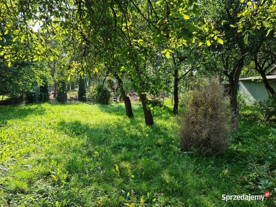 Sprzedam ogródek działkowy ROD Waszyngtona 580m2