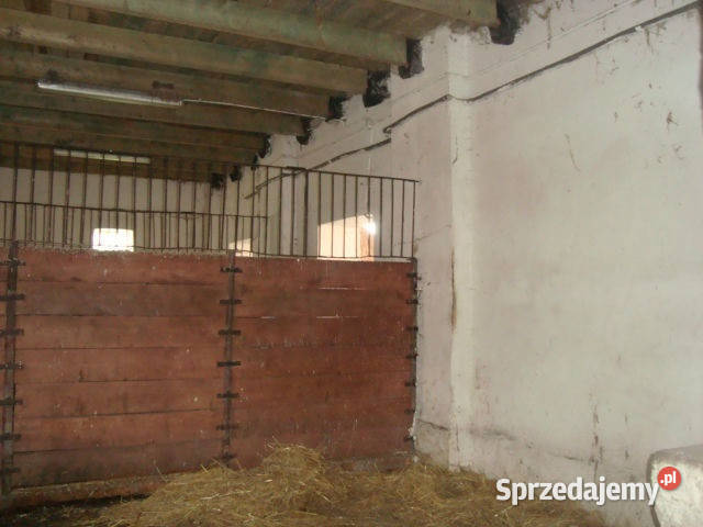 sprzedaży lokalu 500m2 Wałbrzych Lokale użytkowe dolnośląskie
