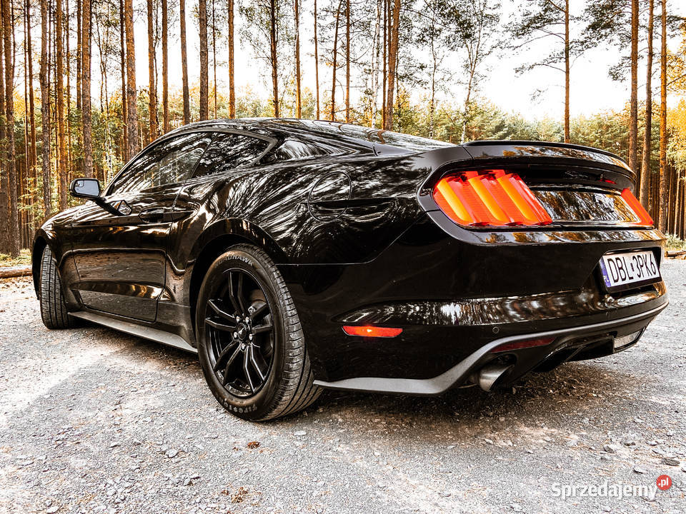 Auto Sportowy do Ślubu na wesele MUSTANG Premium Jelenia Góra