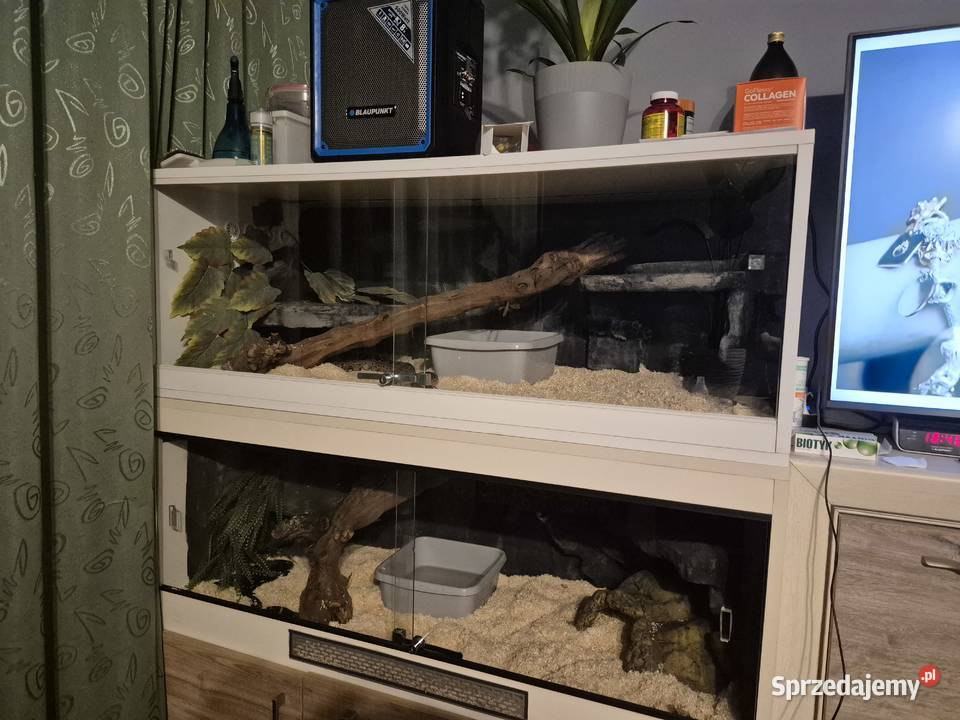 Terrarium Starachowice