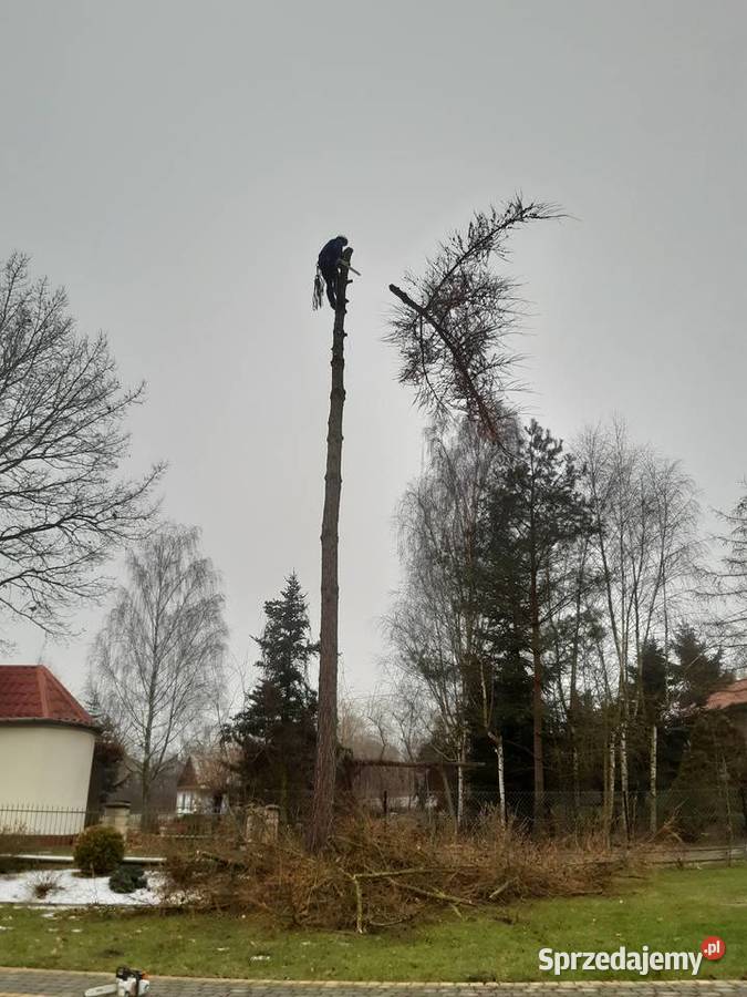 Usługi Ogrodnicze Kraśnik prace ogrodowe