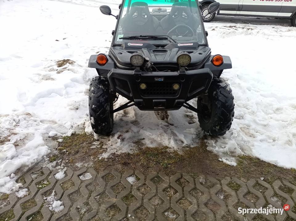 Buggy 750 Arctic Cat