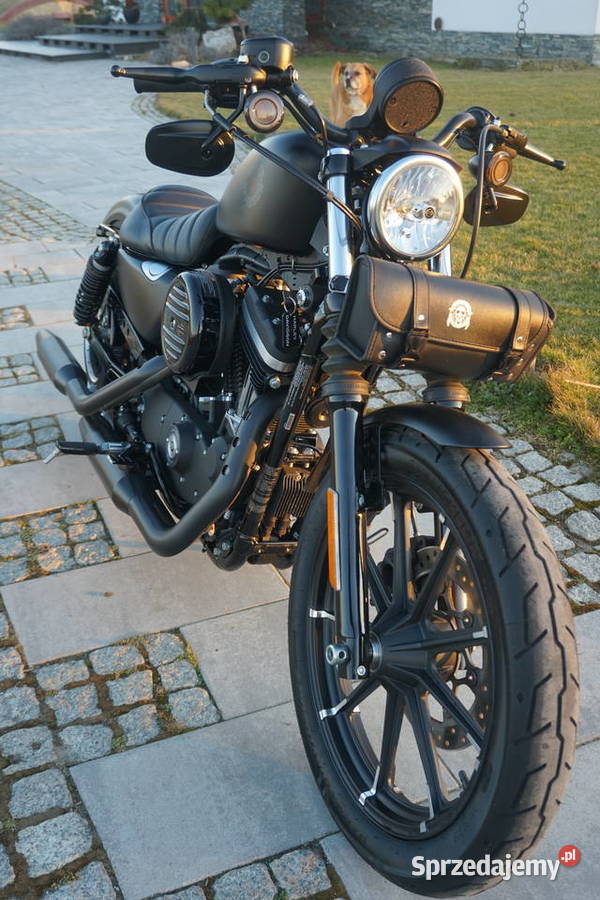 HarleyDavidson Sportster 883 IRON Strzelce Opolskie