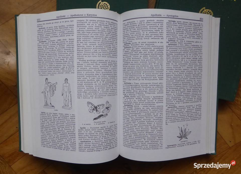 Encyklopedia Powszechna Wydawnictwa Gutenberga 4 Książki i Podręczniki opolskie Głuchołazy