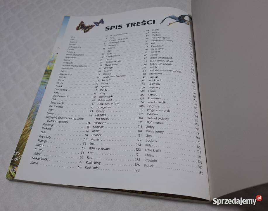 Zwierzęta świata Pere Rovira Olesiejuk 2012 miękka sprzedam