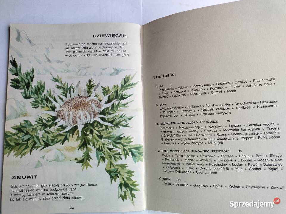 Ładne ziółka Włodzimierz Scisłowski Rok wydania 1988