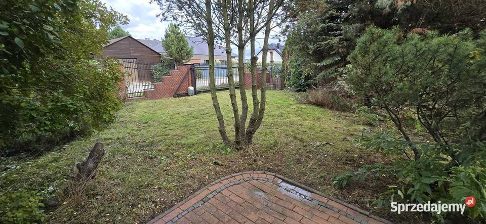 5pok 240met Dębowej BALKONOGRÓD2009 Mędłów