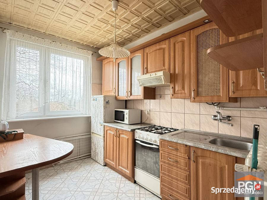Mieszkanie Płoty 295m2 1 pok