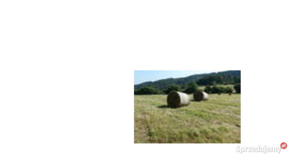 Siano 2025 w siatce górskie Wałbrzych