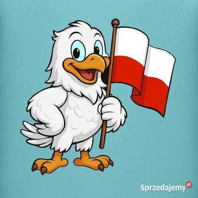 Ekologiczna patriotyczna bluza młodzieżowa Rozmiar 10 Kraków