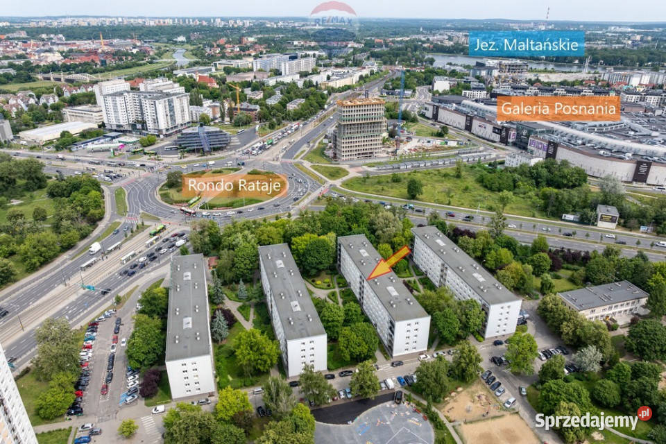 Os Jagiellońskie świetna z balkonem Poznań sprzedam