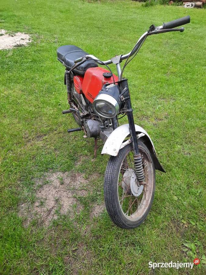 Jawka mustang mazowieckie Radom