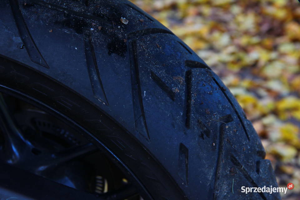 Triumpt Tiger 800XRx pomorskie Gniew