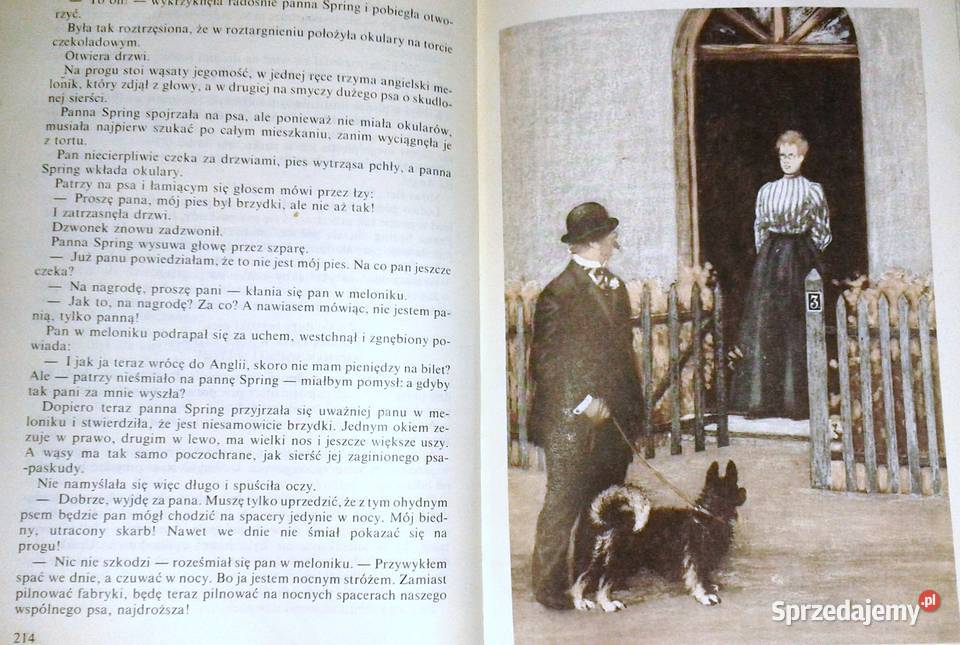 prerię pędzi koń Vladimr Stuchl Chełm