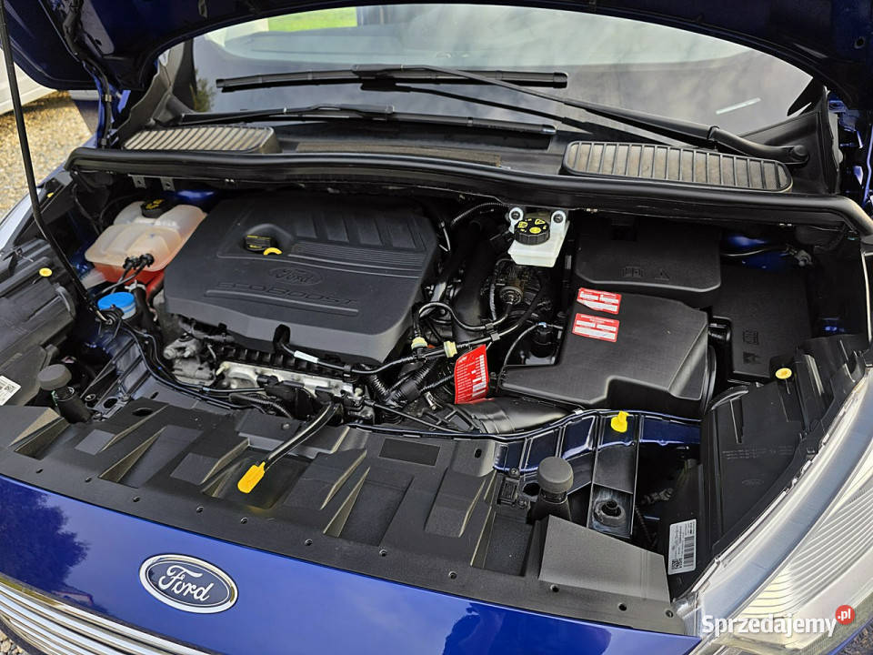 Ford C serwis ASO nawigacja II 2010 Rydułtowy