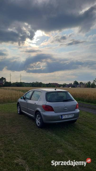Peugeot 307 zadbany 7lat w jednych rękach Turek sprzedam