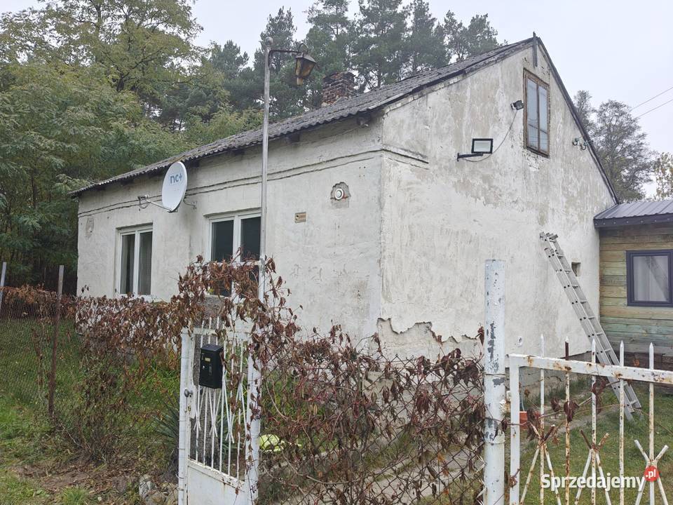 Syndyk sprzeda Karolew sprzedam