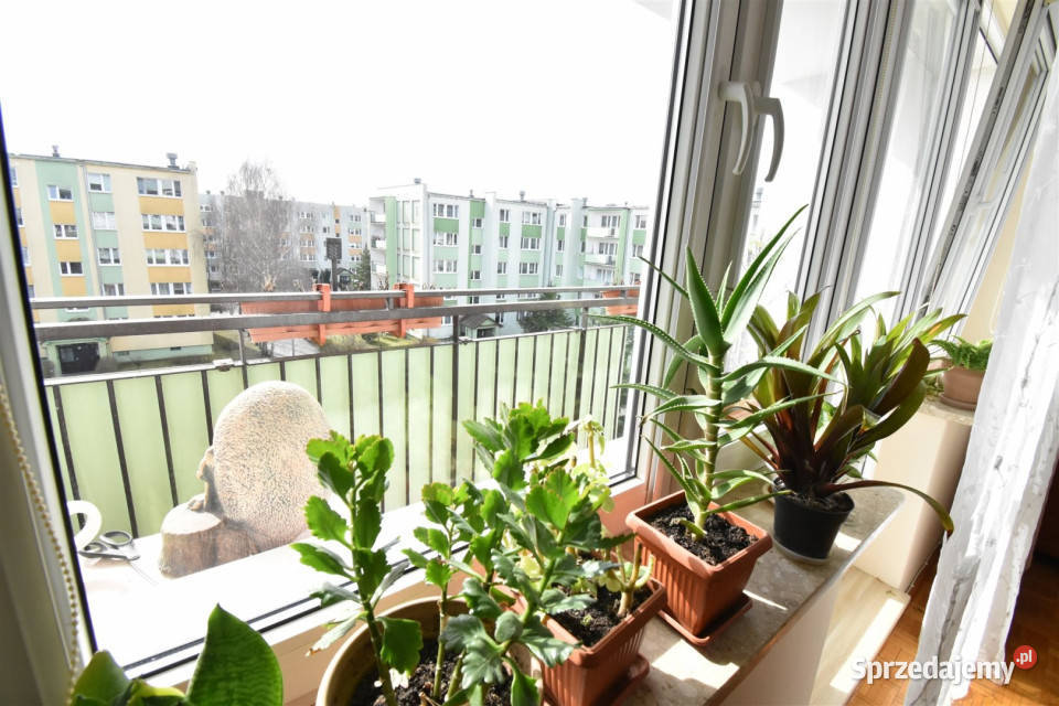 Ogłoszenie mieszkanie Bydgoszcz 6336m2 3pokojowe kujawsko-pomorskie