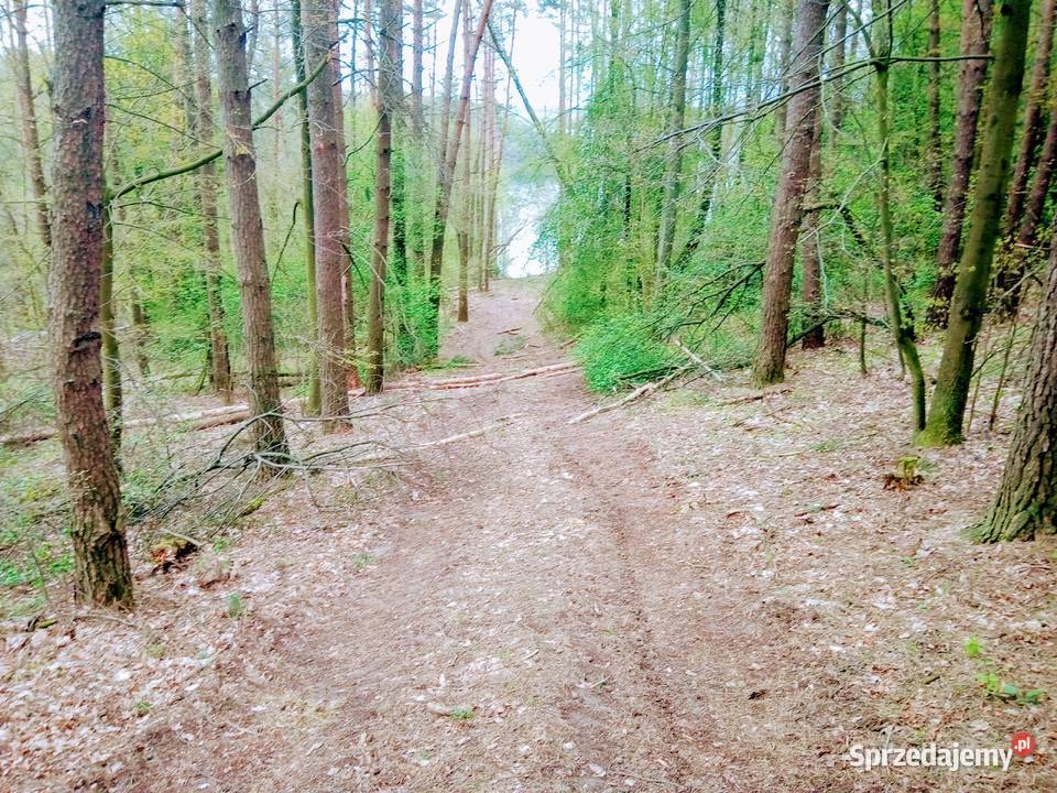 Mazury Stare Juchy grunty z WZ okolicach jeziora sprzedam