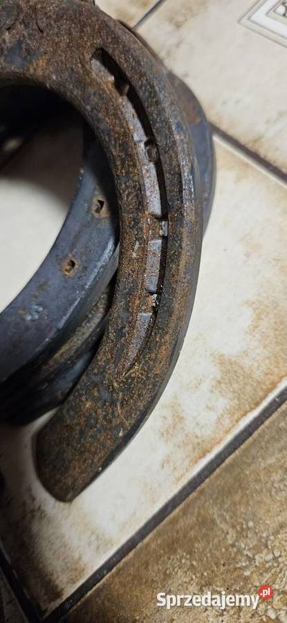 Ozdoba domuna szczęściePodkowa stalowa Barlinek sprzedam