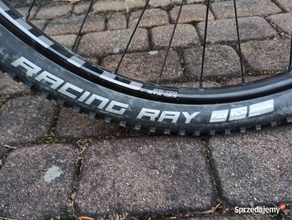 Cannondale Scalpel HT Carbon 4 2022 L