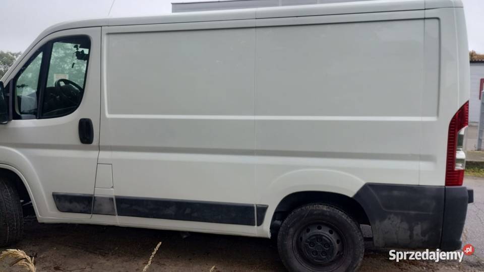 Ducato L1H1 12r 20 mJet ładny Syców