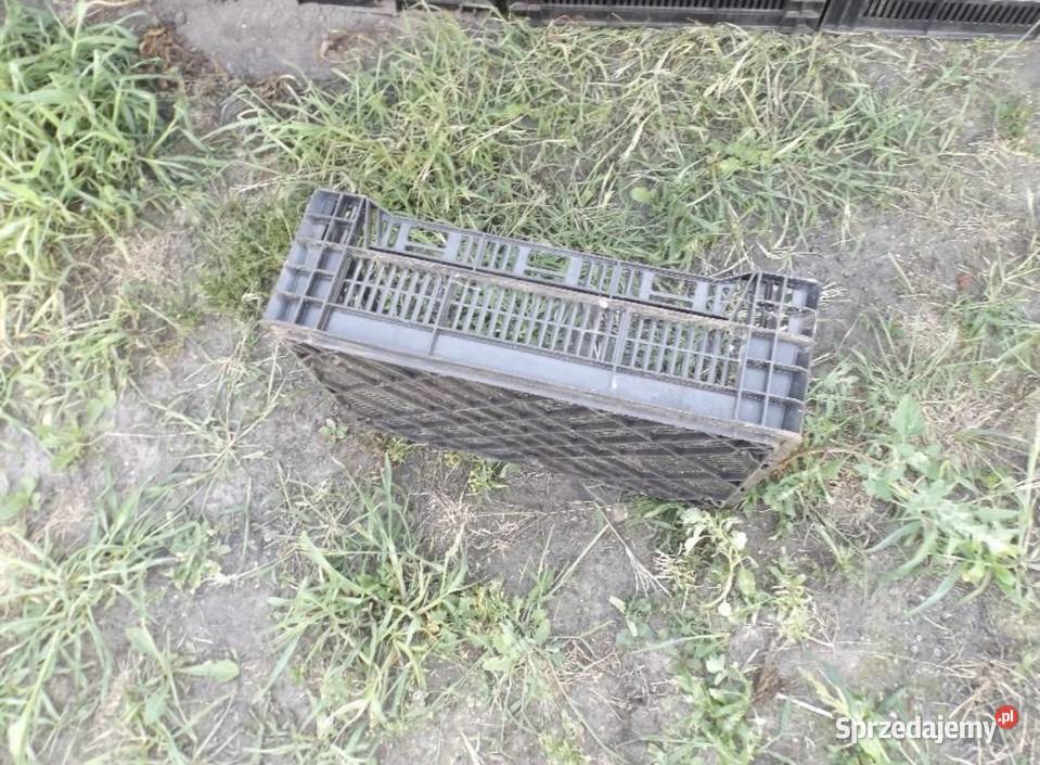 Skrzynka ogrodnicza Siedlce