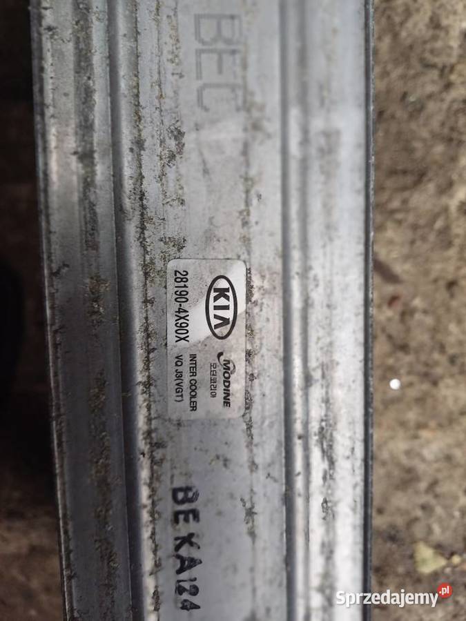 Kia Carnival 29 crdi intercooler Rok produkcji 2007 wielkopolskie