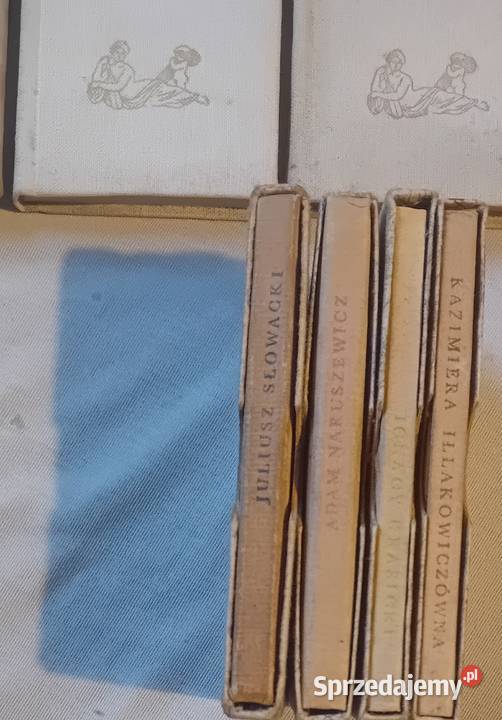 Zestaw 9 książek miniaturek z serii Poeci Polscy wielkopolskie Koźminek