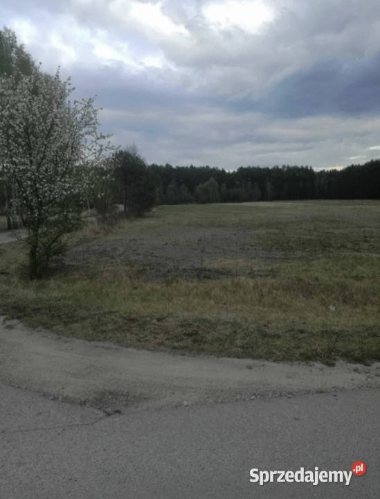 działka 15 arów w malowniczej okolicy 5 ar asfalt Wilcza Wola
