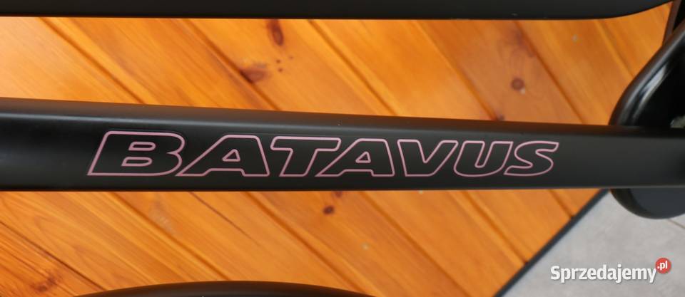Rower damski Batavus Dinsdag D 53 I inne rowery mazowieckie Milanówek