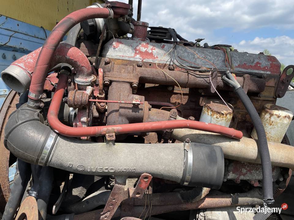 Silnik Iveco ciężarowe Pozostałe Łazy