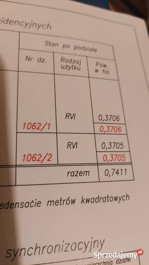 Działka rekreacyjna w lesie rekreacyjna Ogrójce