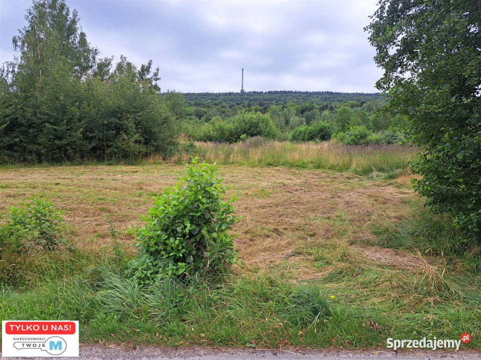Sprzedaż gruntu Nowa Słupia 12800m 12800m2