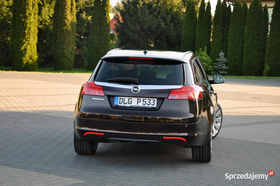 Opel Insignia 20CDTI160BiXenonLedNaviElKlapaRude ABS sprzedam