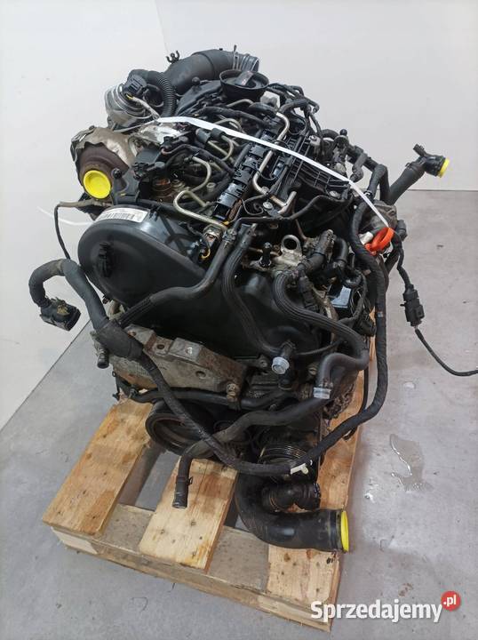 SILNIK KOMPLETNY DIESEL 16 TDI CAY Skoda Superb osobowe