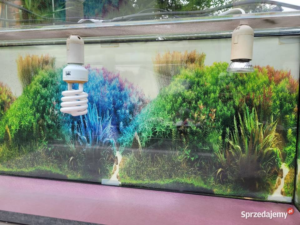 Terrarium szklane 90x40x40 Terrarystyka Objezierze