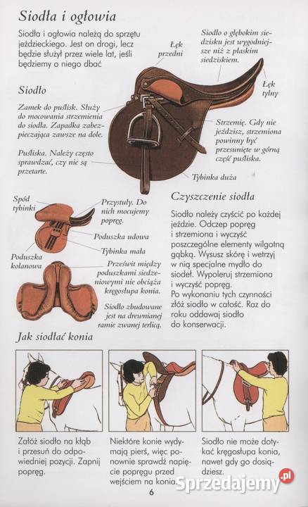JAZDA KONNA KOLEKCJA JUNIORA Popularnonaukowe Gorzów Wielkopolski