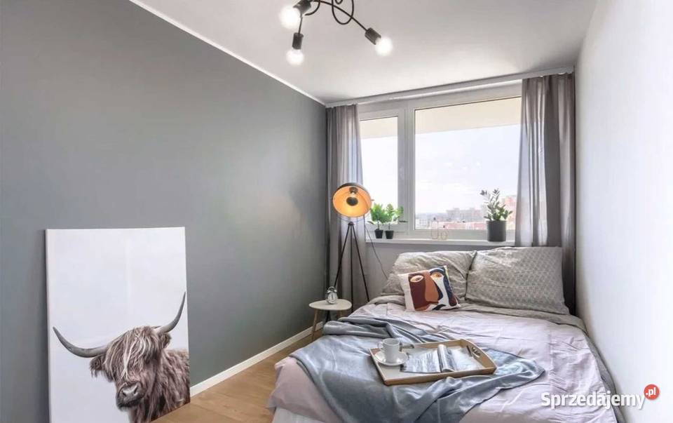 4pok 60met Drzewieckiego LOGGIAPIWNICA Wrocław