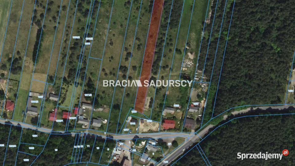 sprzedaży gruntu Rokitno Szlacheckie 6008m2