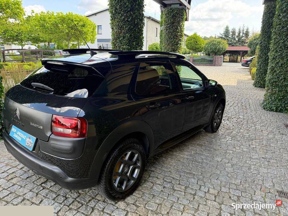 Citron C4 Cactus 12 PureTech Feel 82 2017r Krotoszyn