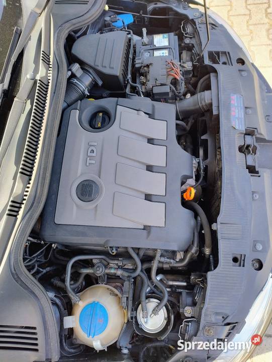 Seat Ibiza 16tdi 2010 Wodzisław Śląski sprzedam